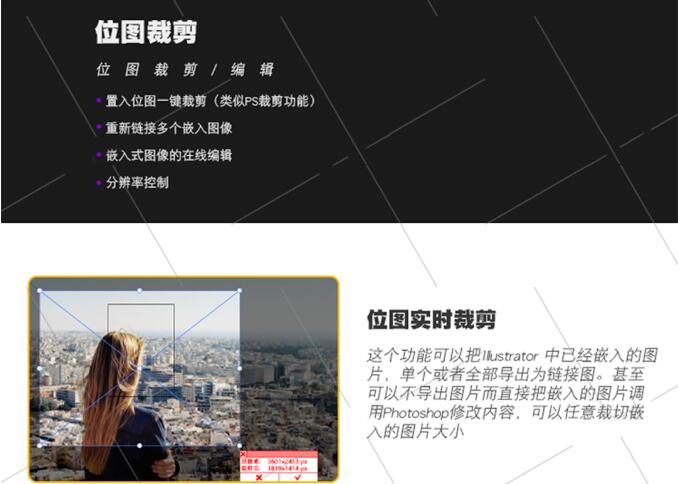 图片[9]-Ai插件-圆形相切吸附插件 Subscribe 支持系统Win和Mac-数艺帮-影视后期3D动画创意设计资源网