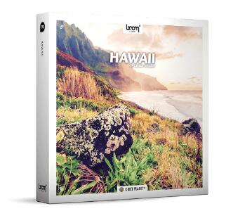 Hawaii 夏威夷鸟鸣海岸雨林虫鸣鸟叫环绕立体无损音效-数艺帮-影视后期3D动画创意设计资源网