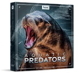 海洋海狮海豹海豚海象动物氛围无损音效大合集Aquatic Predators-数艺帮-影视后期3D动画创意设计资源网