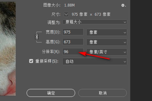 图片[8]-adobe photoshop cc 2019中文破解版 v20.0.10永久完整版-数艺帮-影视后期3D动画创意设计资源网