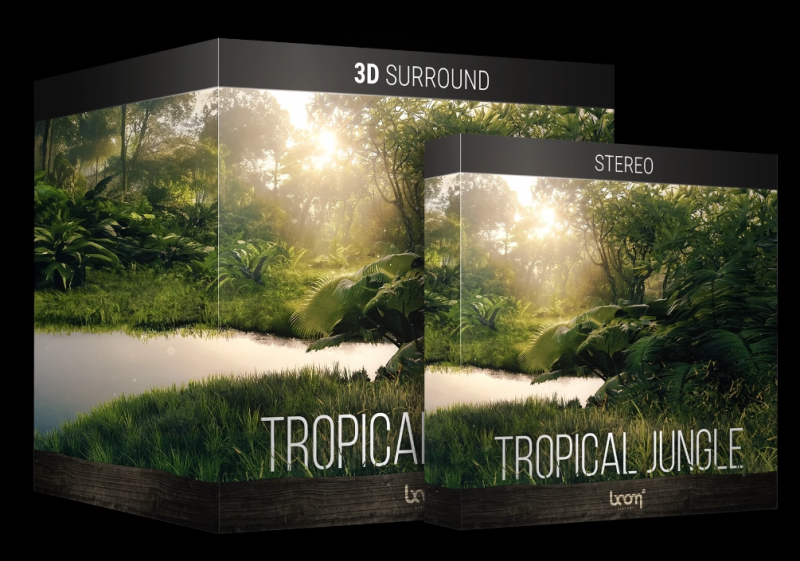 户外森林雨林环境立体无损音效-数艺帮-影视后期3D动画创意设计资源网