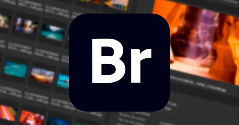 Adobe Bridge CC2021 中文破解版 Br cc2021破解版-数艺帮-影视后期3D动画创意设计资源网