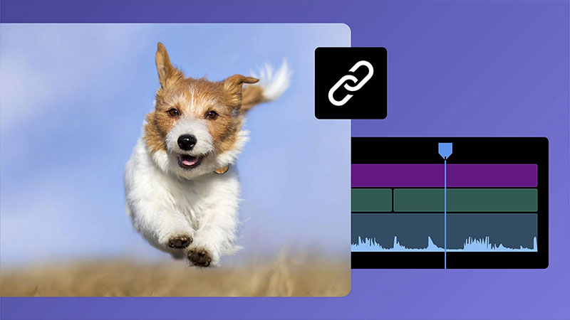 Adobe Premiere Pro 2026中文特别版 v26.0.0.72